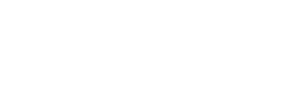 Schrift Logo Weiss